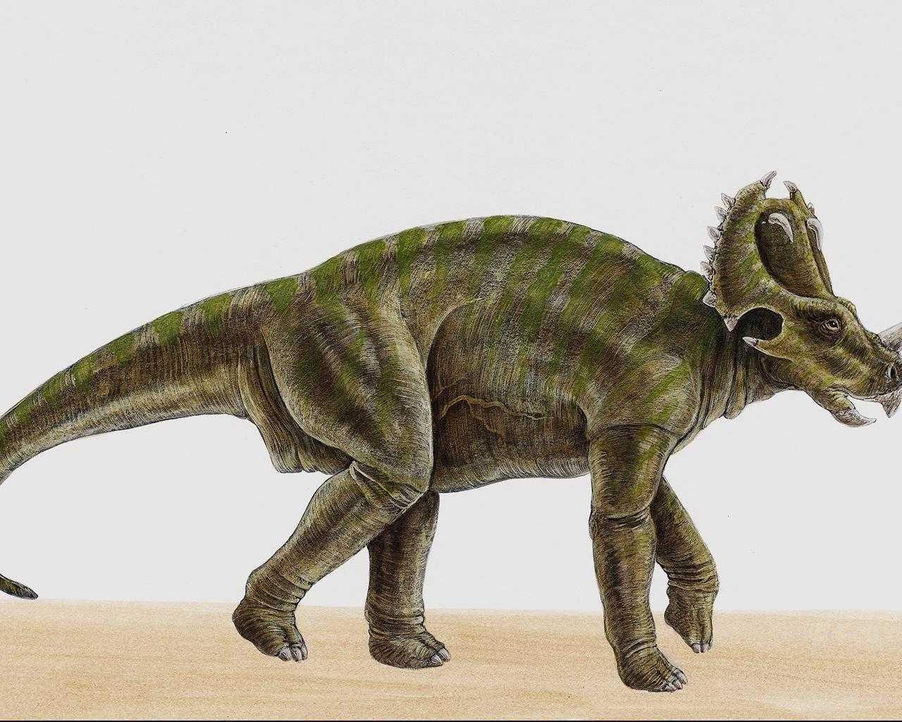 dinozaury (40).jpg