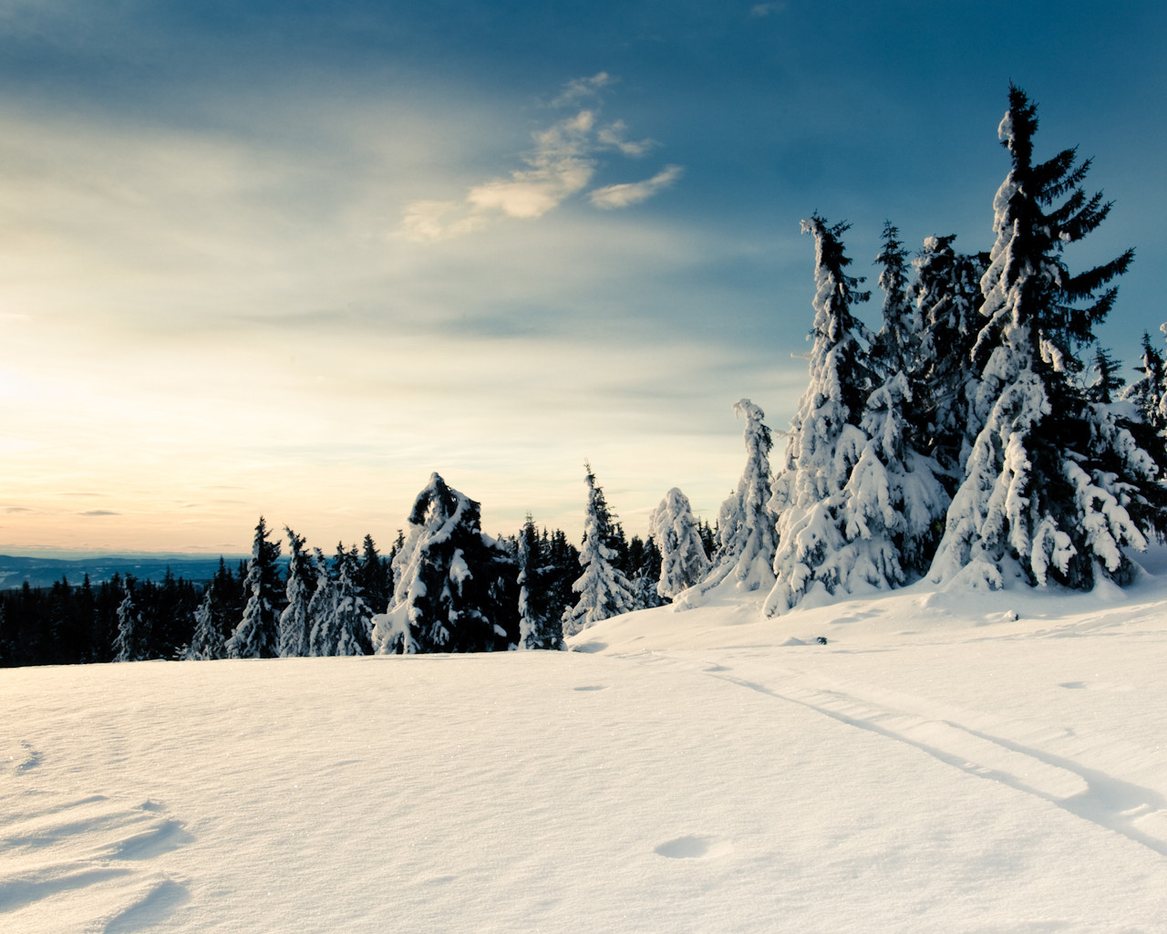 tapeta-panoramiczna (100).jpg