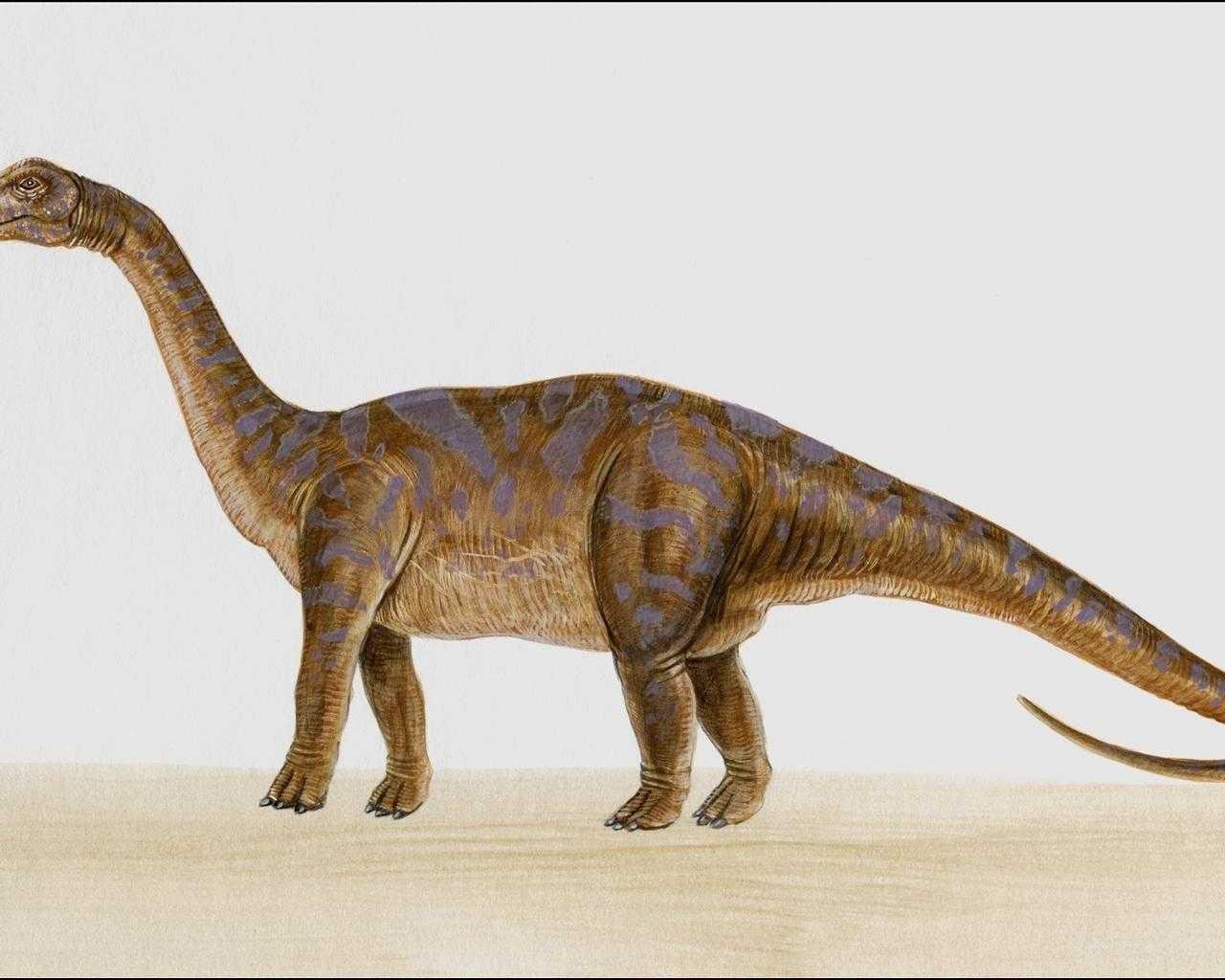 dinozaury (16).jpg