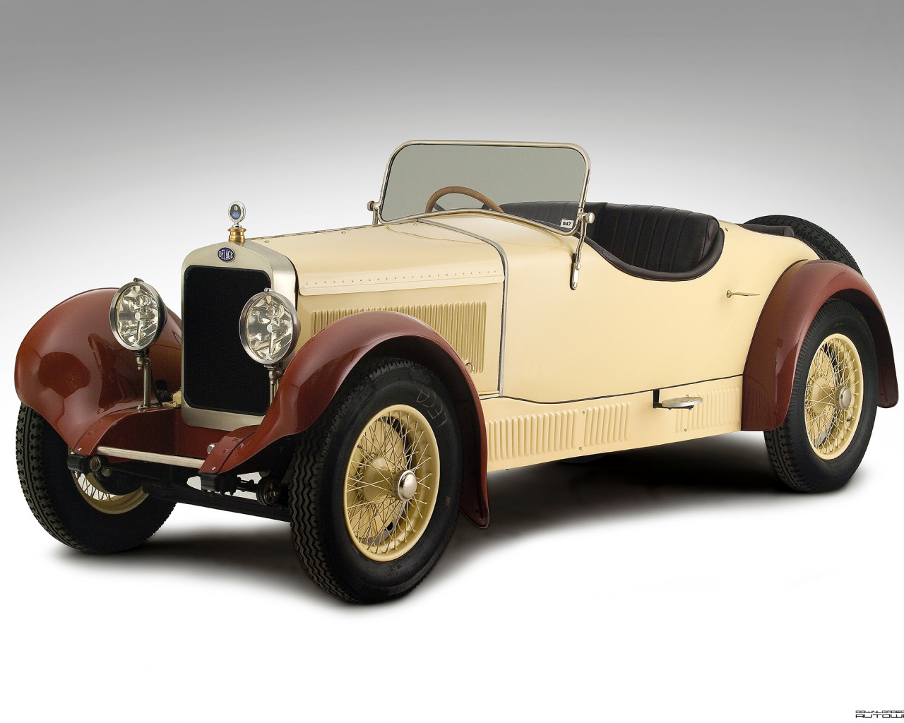 Delage DMS Roadster '1929.jpg