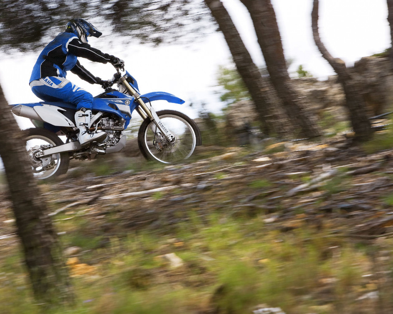 Yamaha_WR250F_2008_06_1440x900.jpg