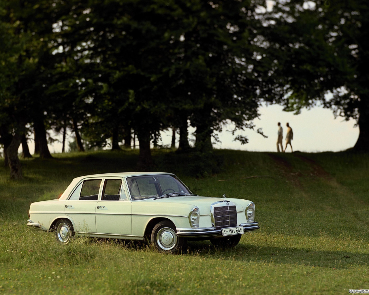 Mercedes-Benz S-Klasse (W111 112).jpg