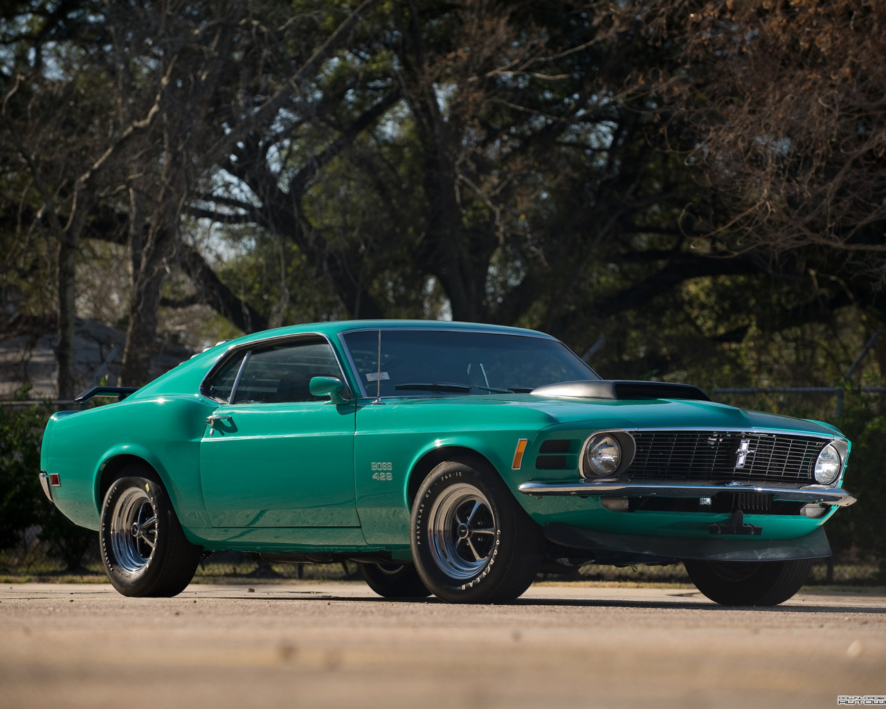 Mustang Boss 429 '1970.jpg