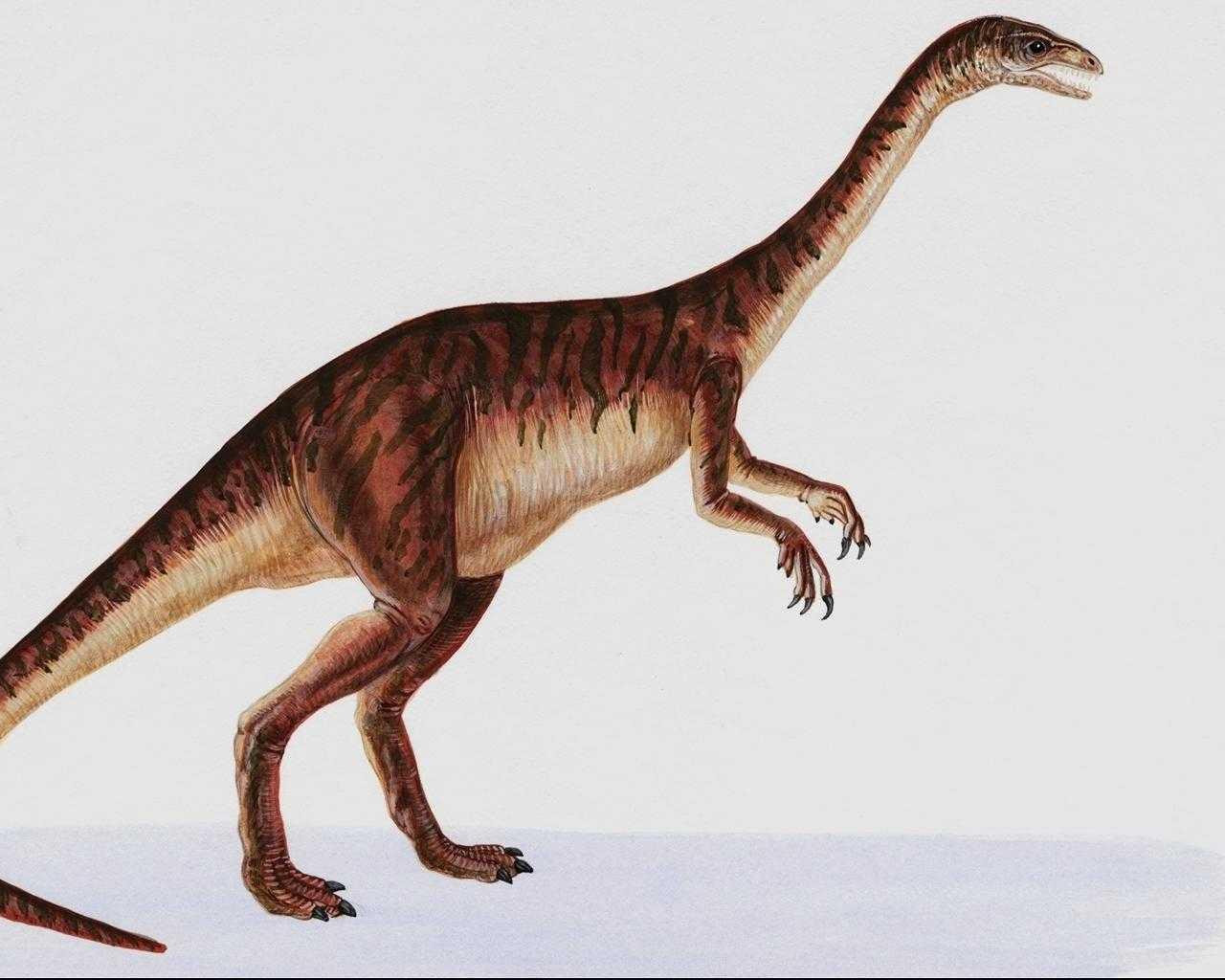 dinozaury (53).jpg