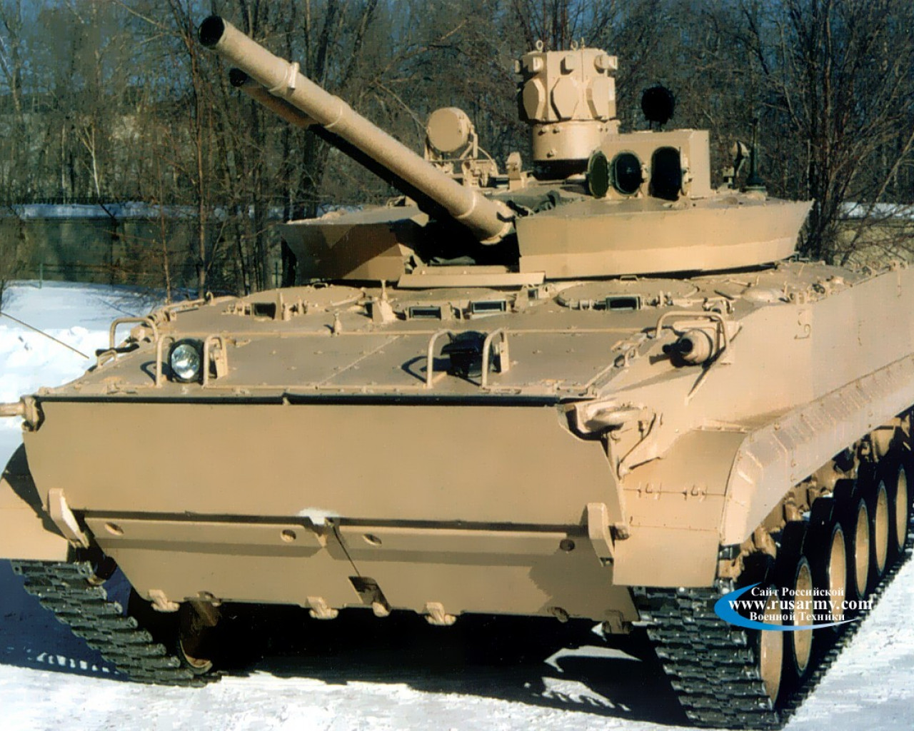 BMP (5).jpg