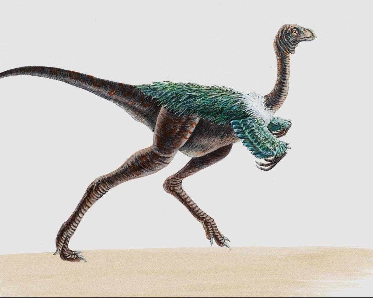 dinozaury (43).jpg