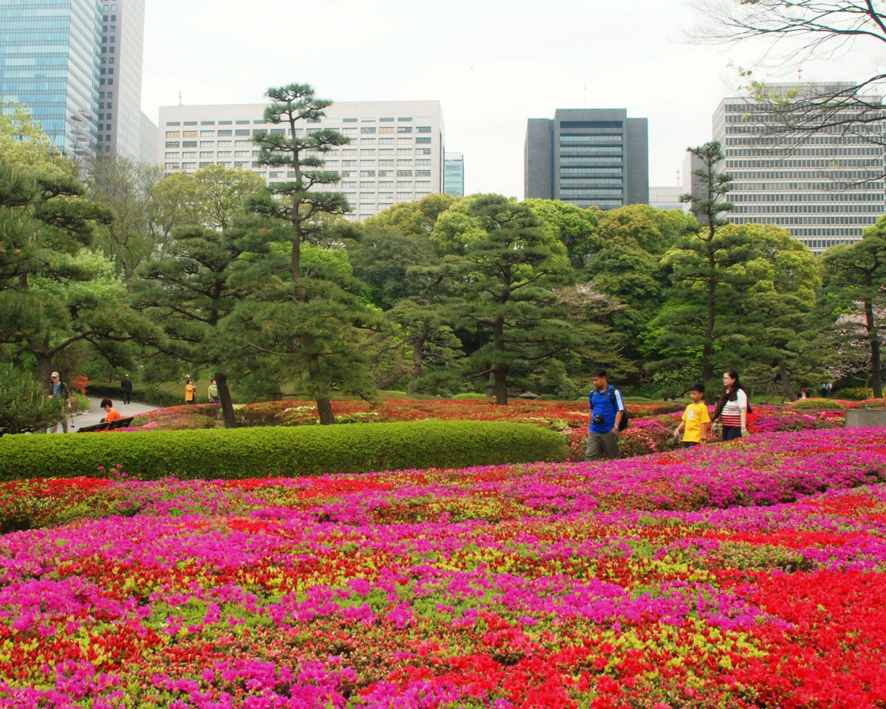 Japonia (174).jpg