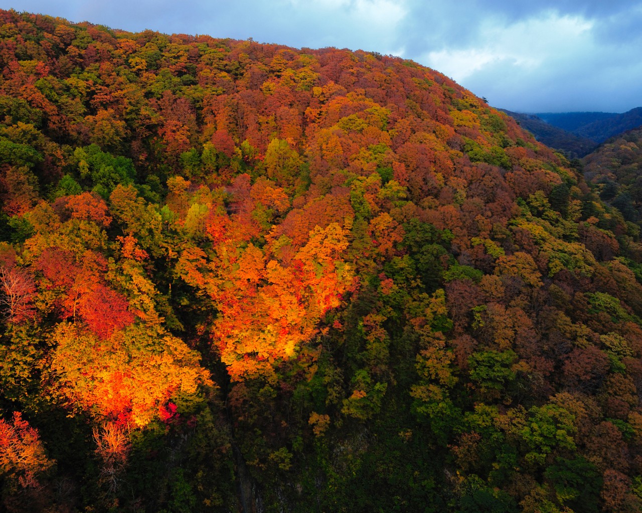 Japonia (200).jpg