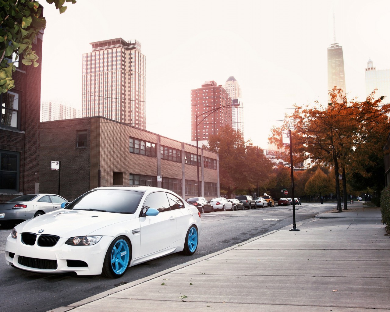BMW (9).jpg