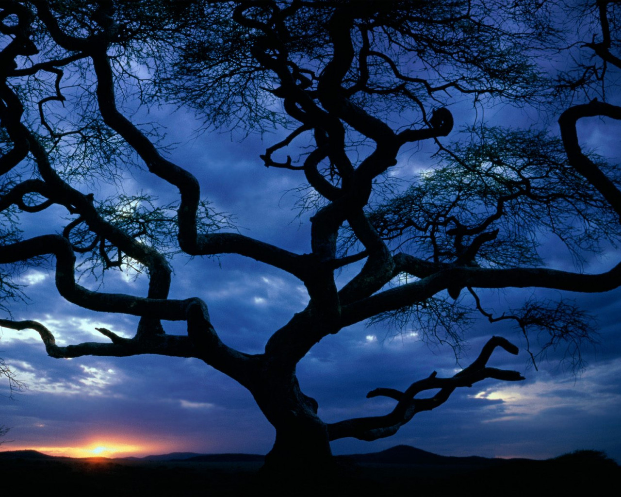 Serengeti National Park, Tanzania.jpg