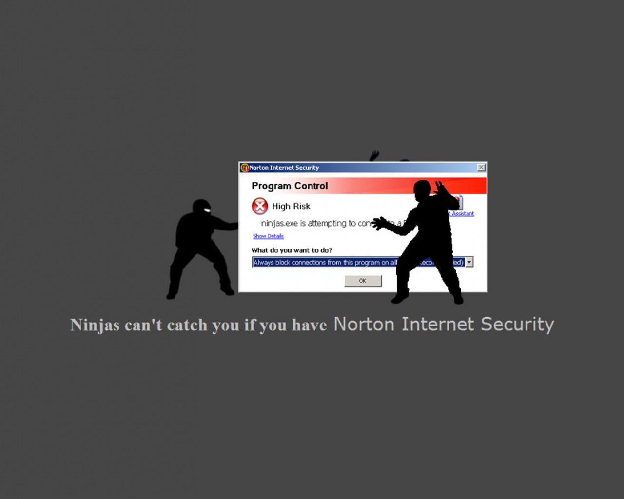 Ninja (34).jpg