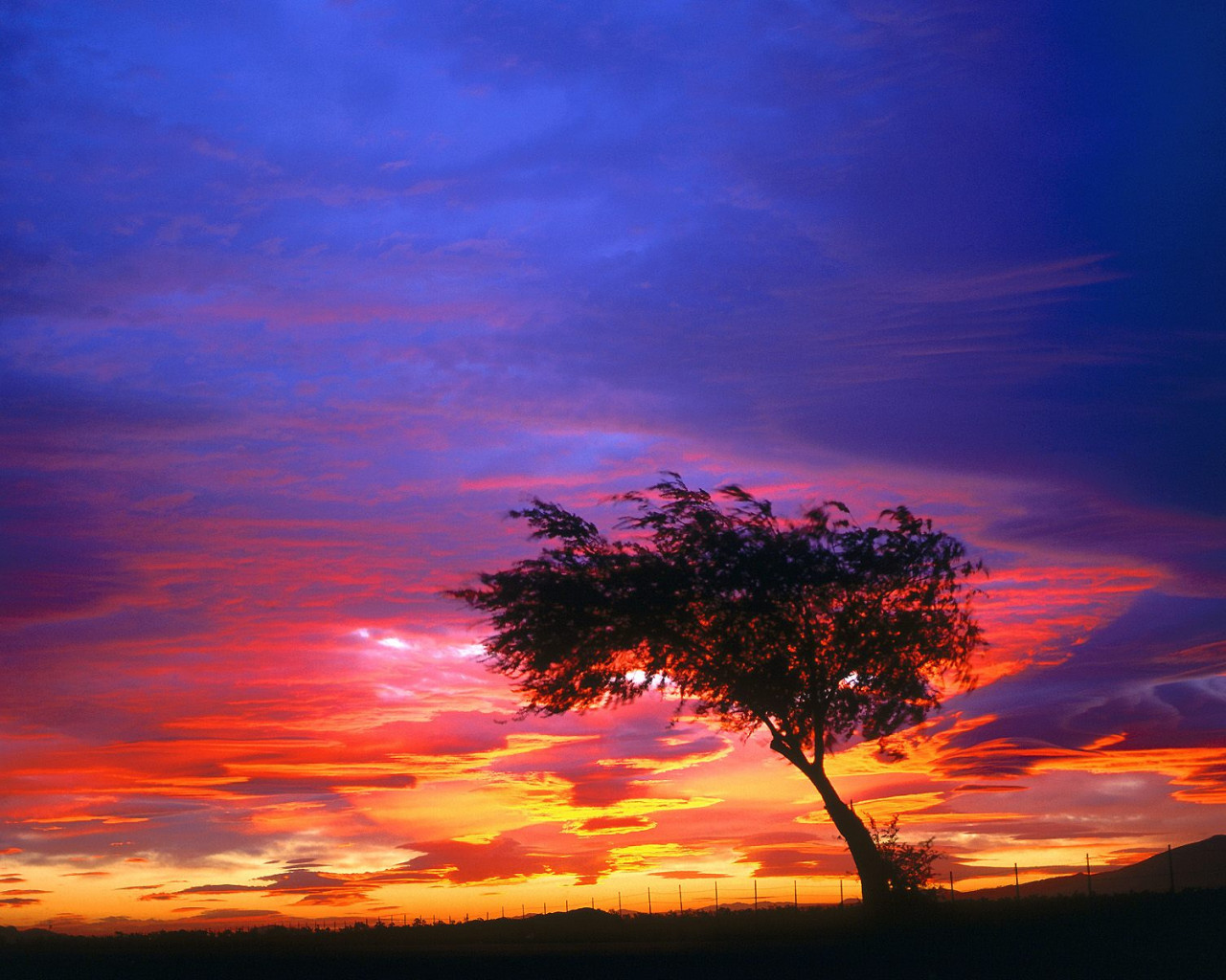 Sunrise, Palmdale, California.jpg