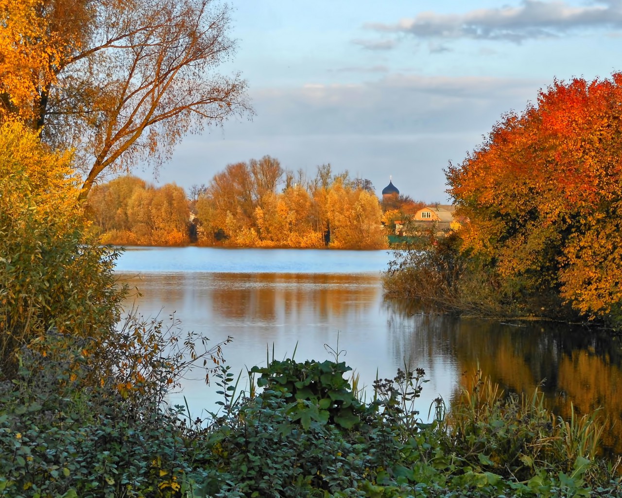 Drzewa nad rzeką