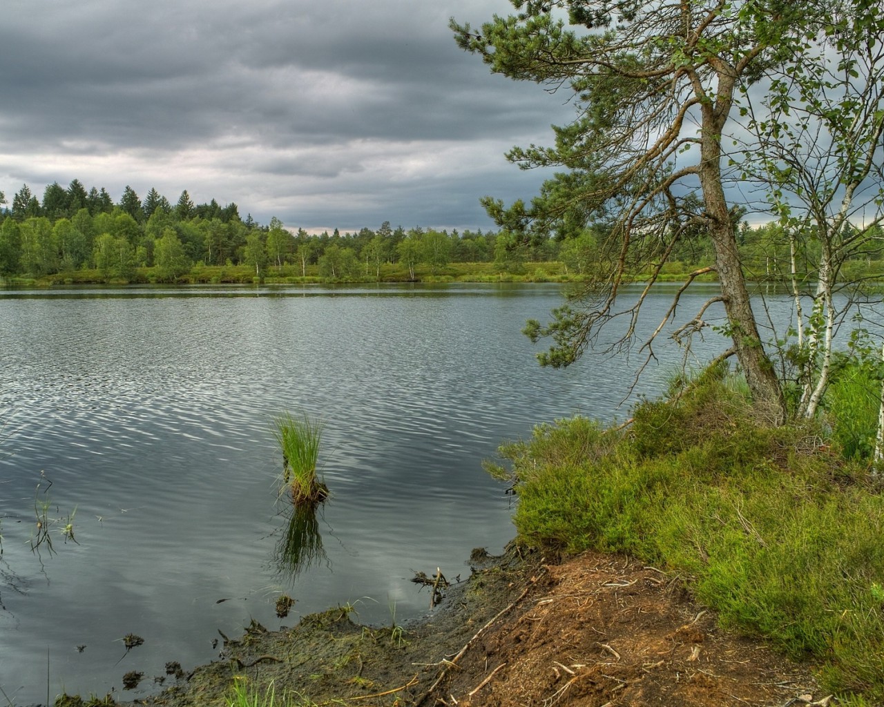 Piękny HD  Widok 9