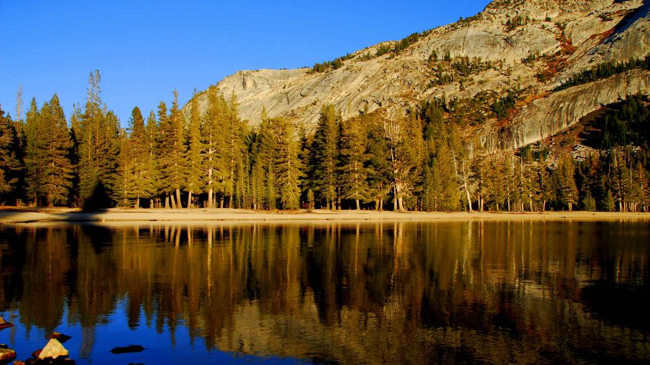 Góry i drzewa odbite w jeziorze