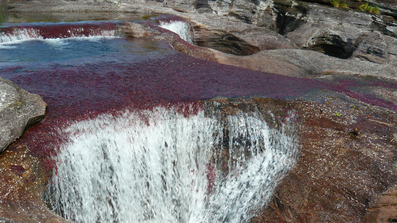 Caño Cristales