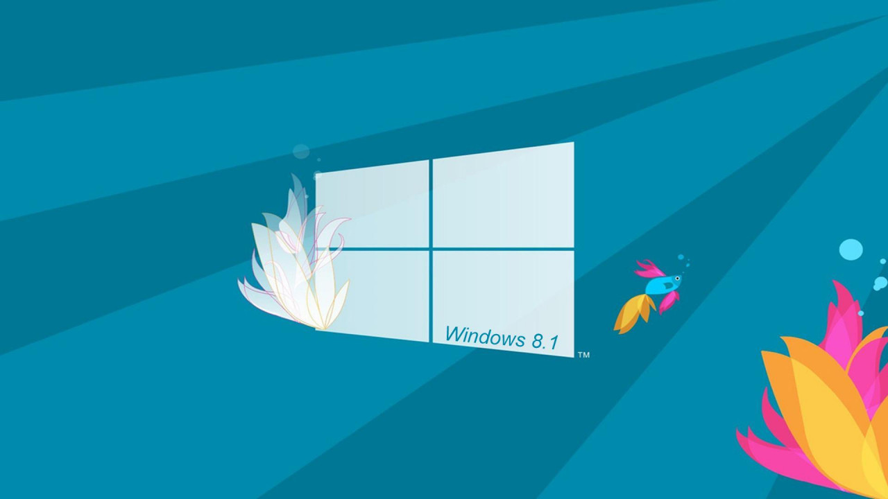 windows 8.1