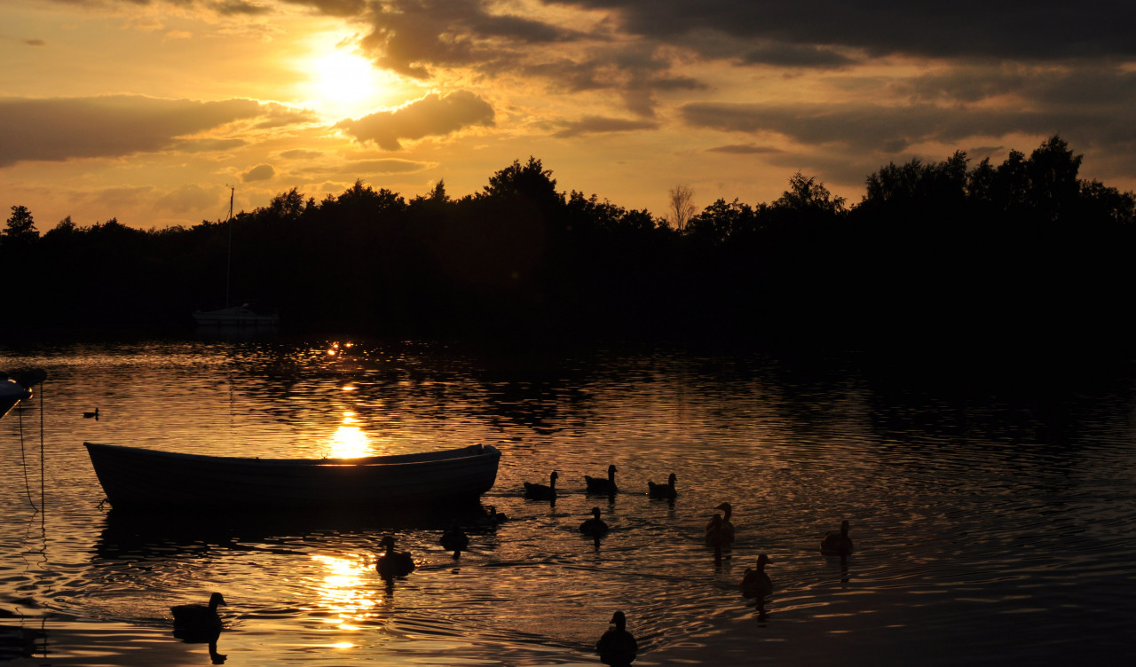 Zachód słońca nad rzeką i kaczki