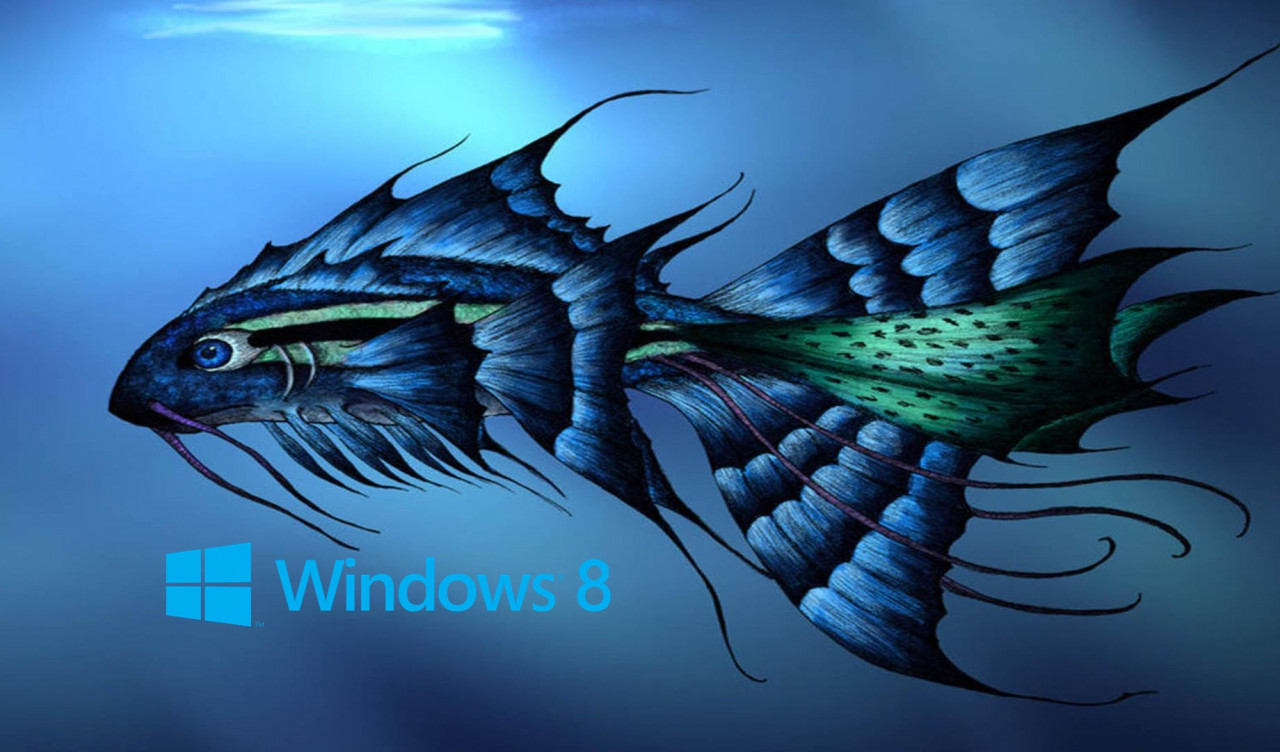 windows 8