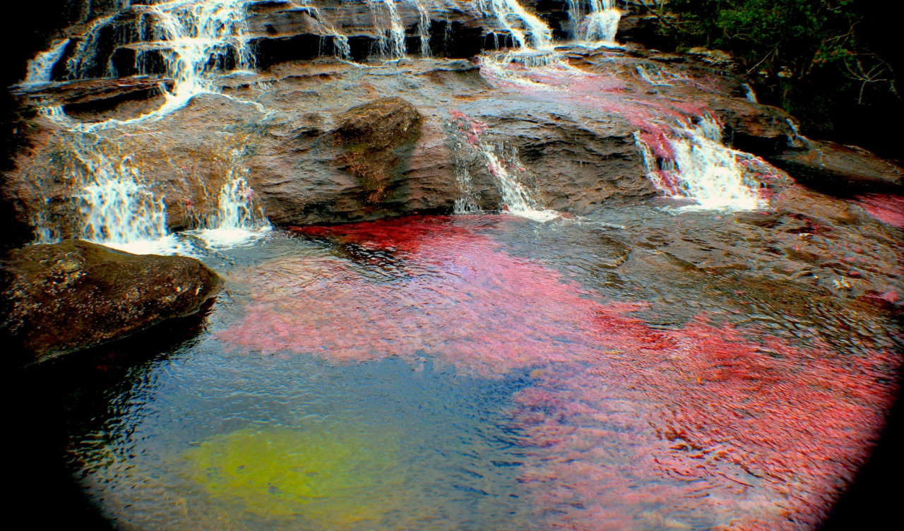 Caño Cristales