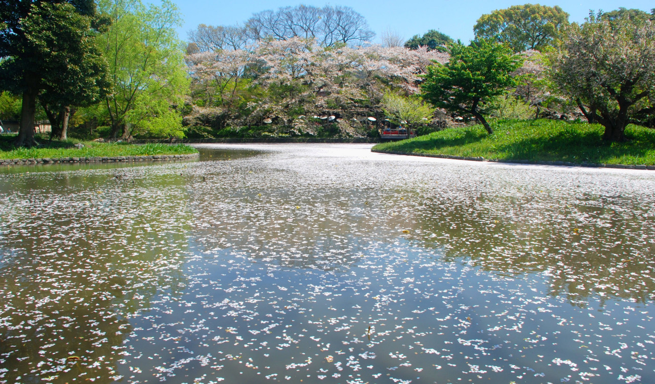 Japonia (110).jpg