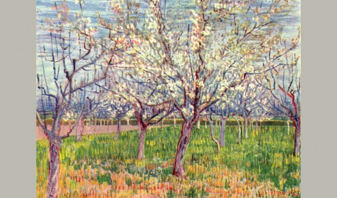 orchard-blossom.jpg