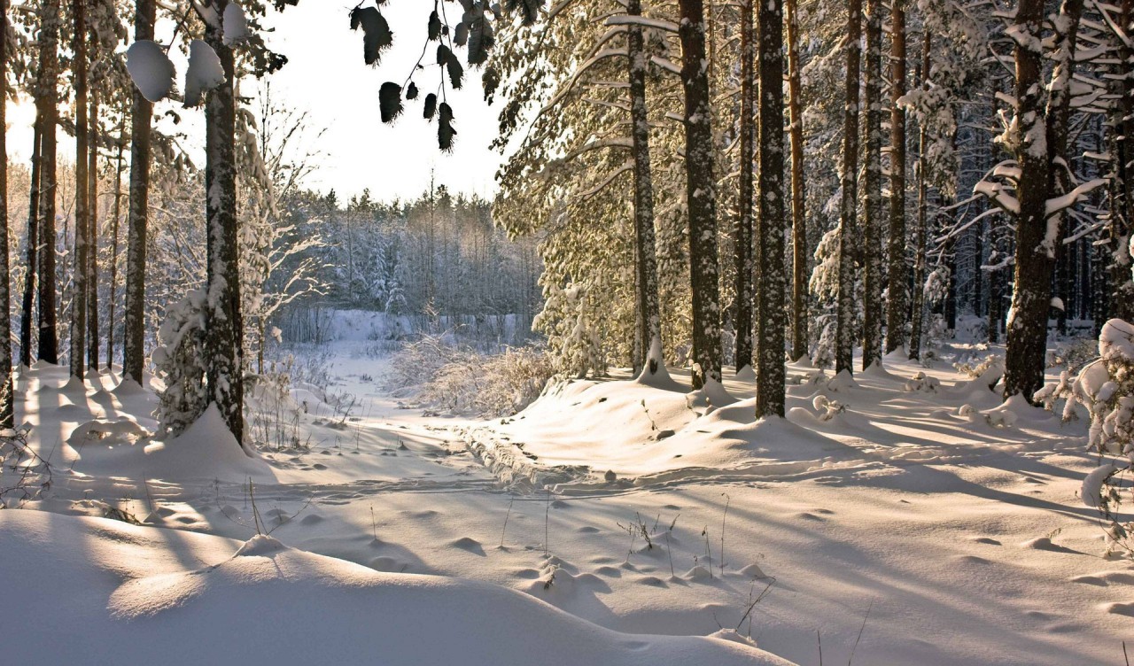 Piękny HD krajobraz 10