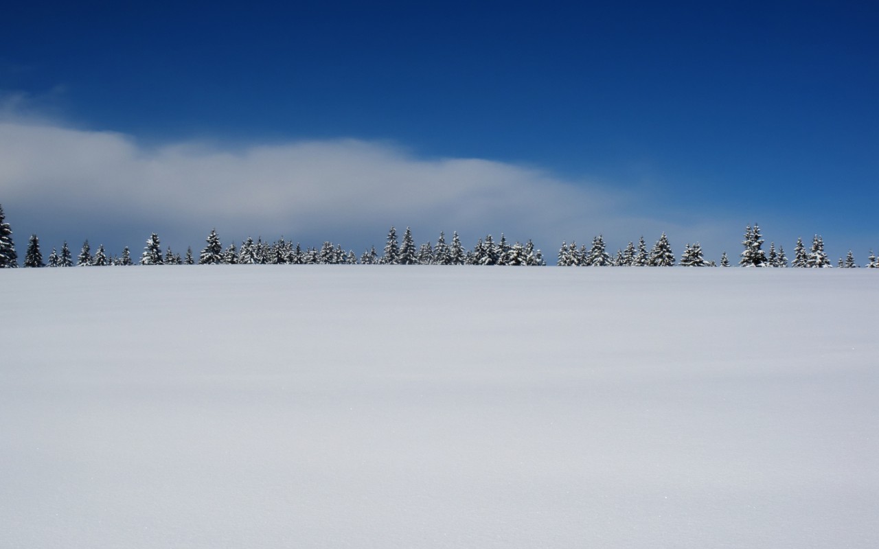 Krajobraz zimowy, Śnieg