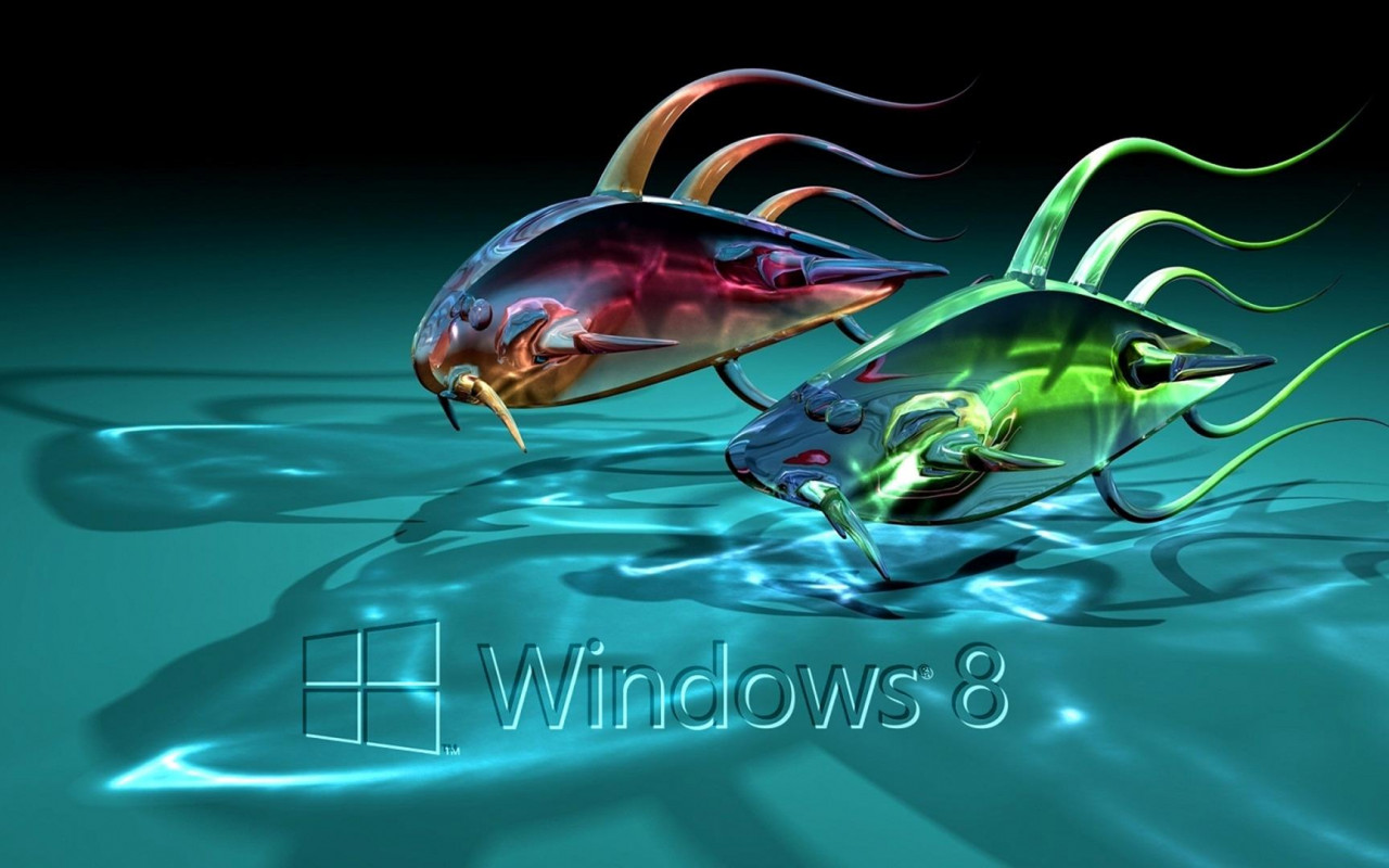 windows 8