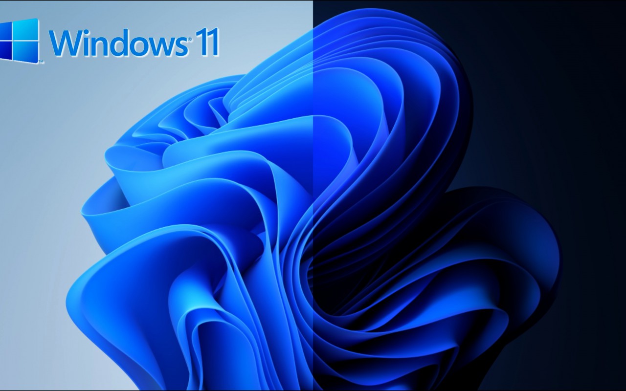 Windows 11 (1)