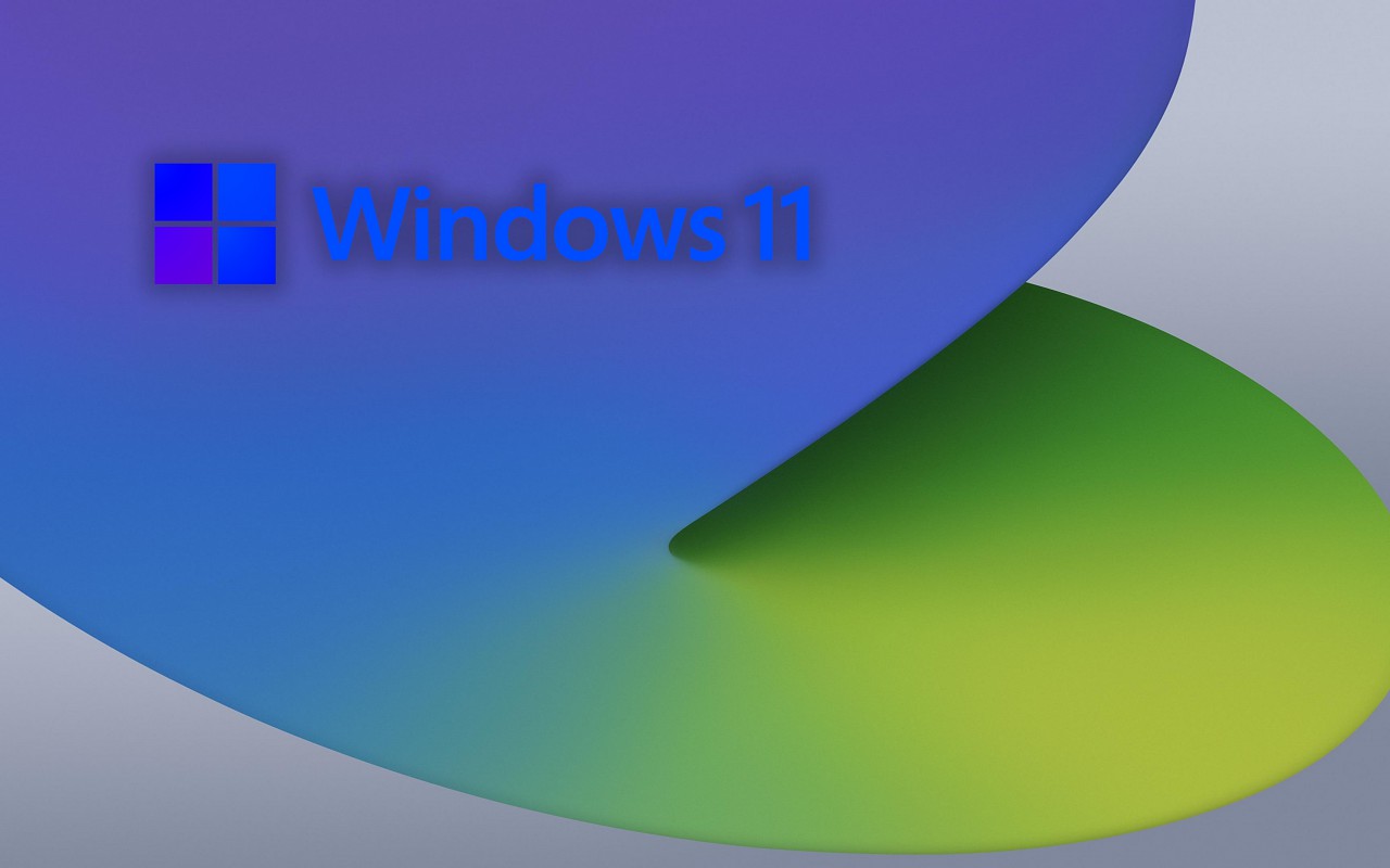 Windows 11 (1)