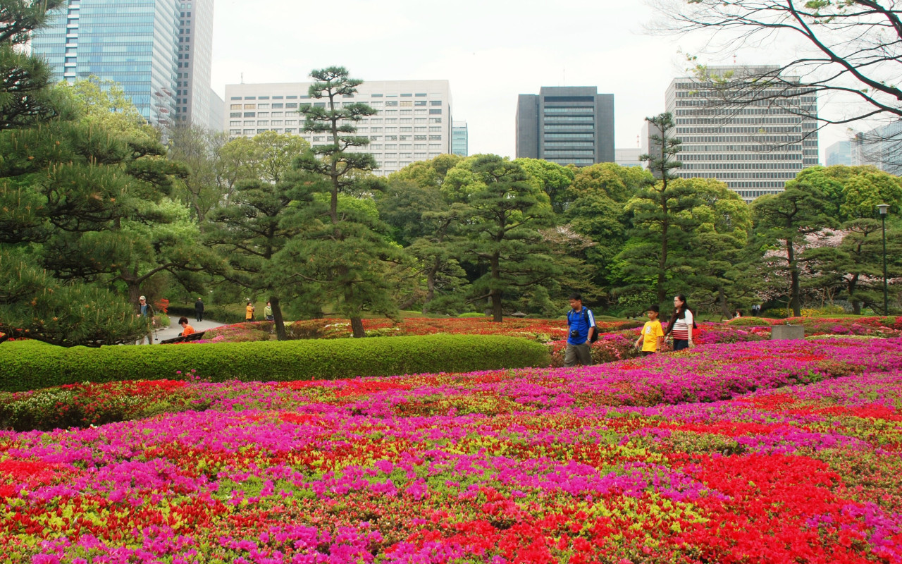 Japonia (174).jpg