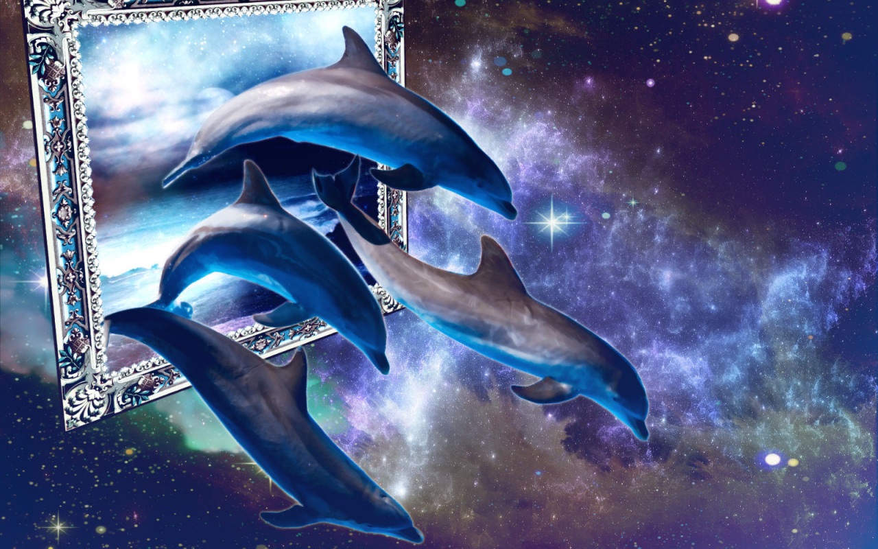 Delfiny 9