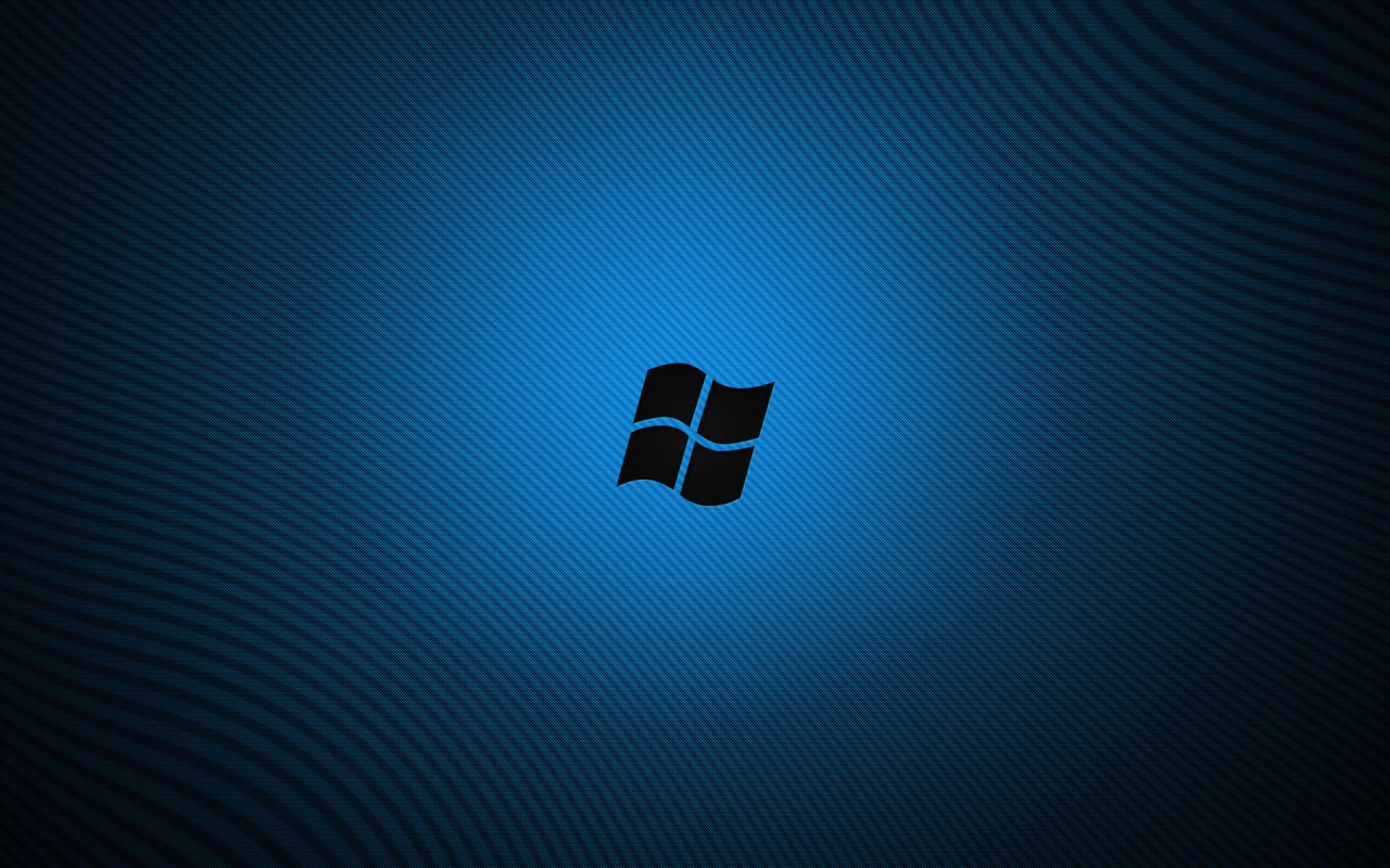 Logo Windowsa