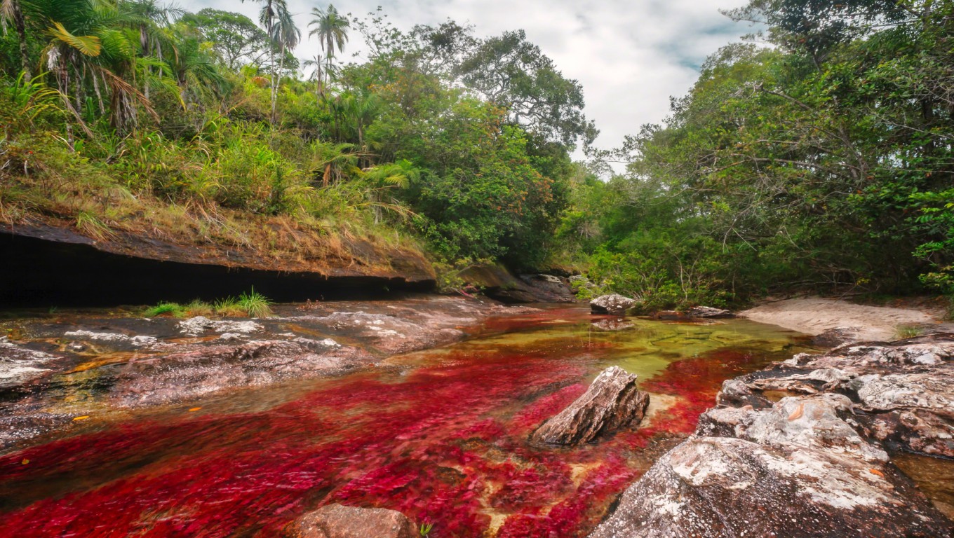 Caño Cristales