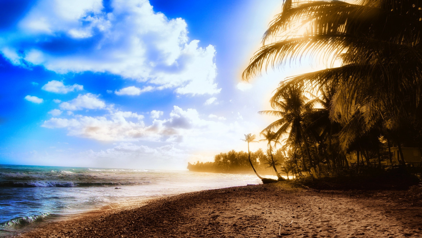 Słoneczna wyspa z palmami