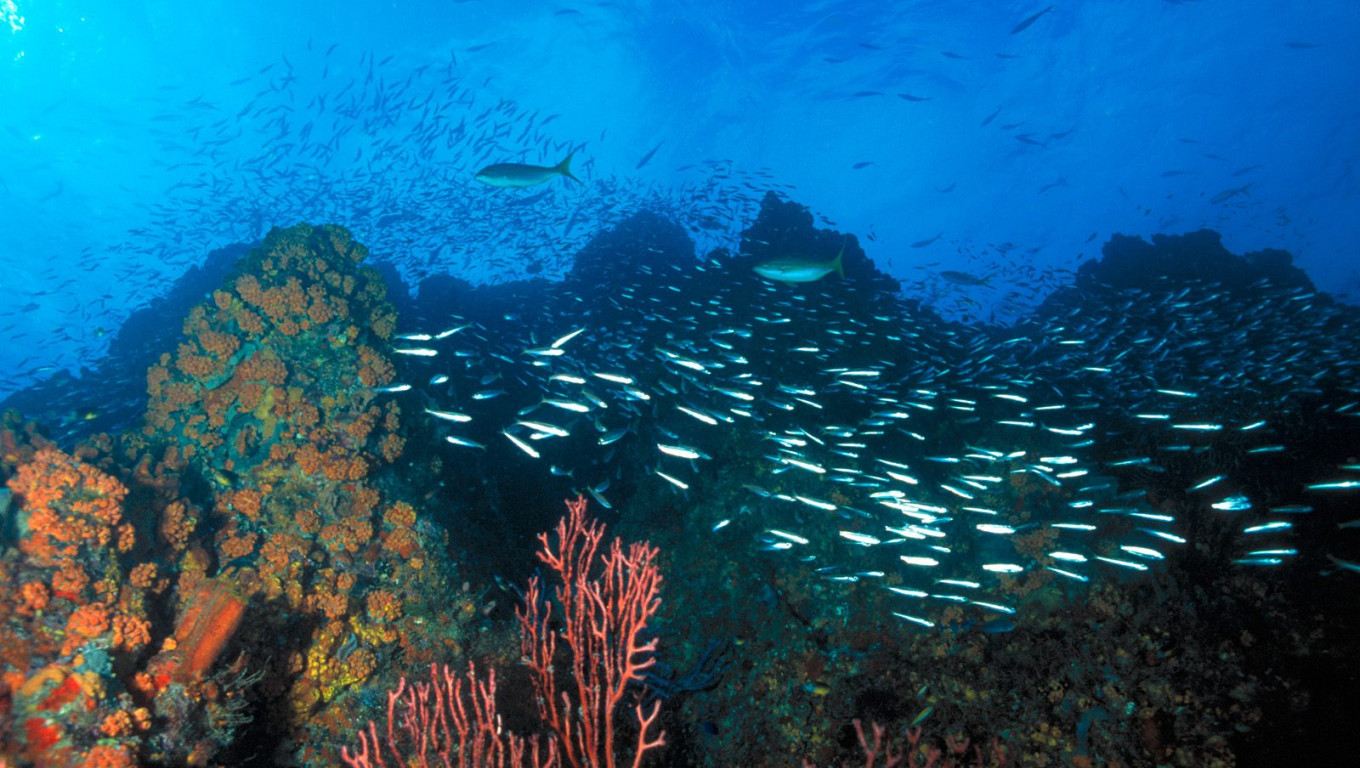 Los Roques Reef, Venezuela.jpg