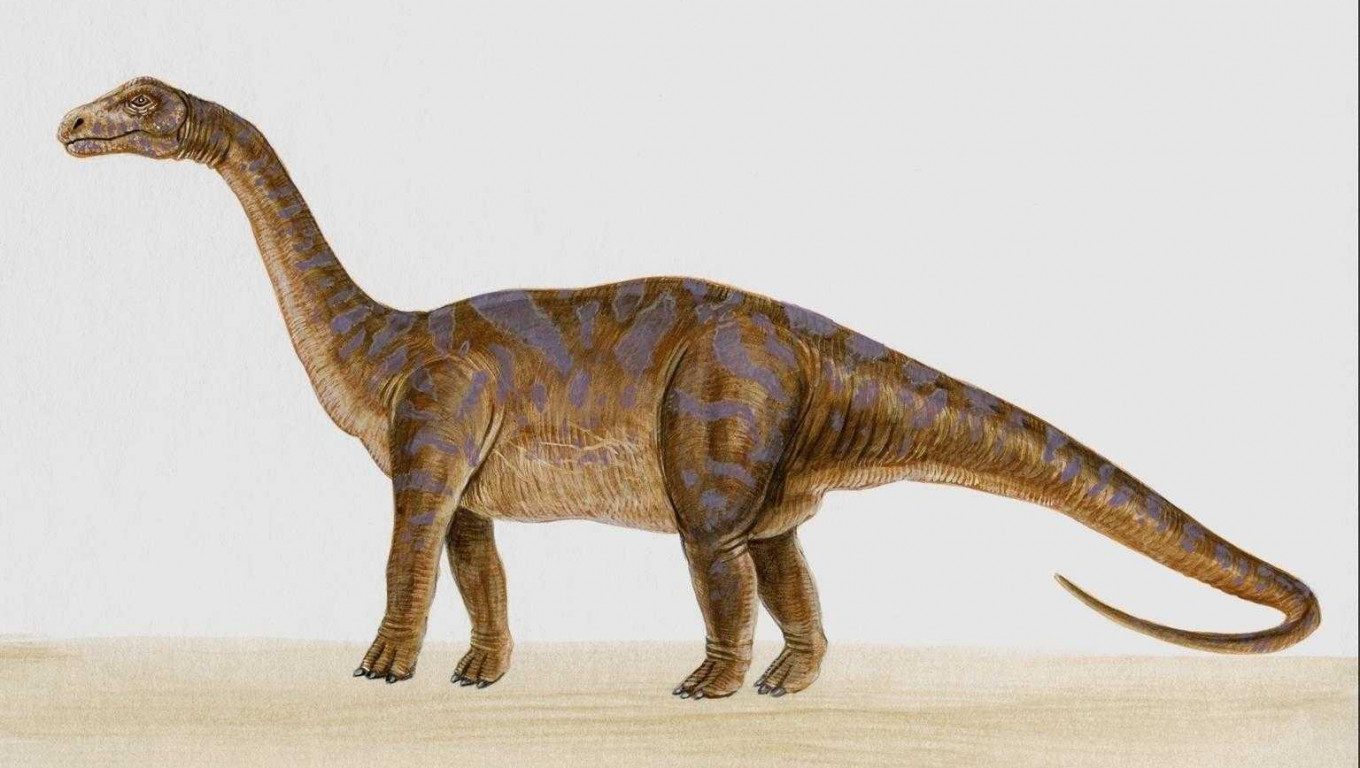 dinozaury (16).jpg