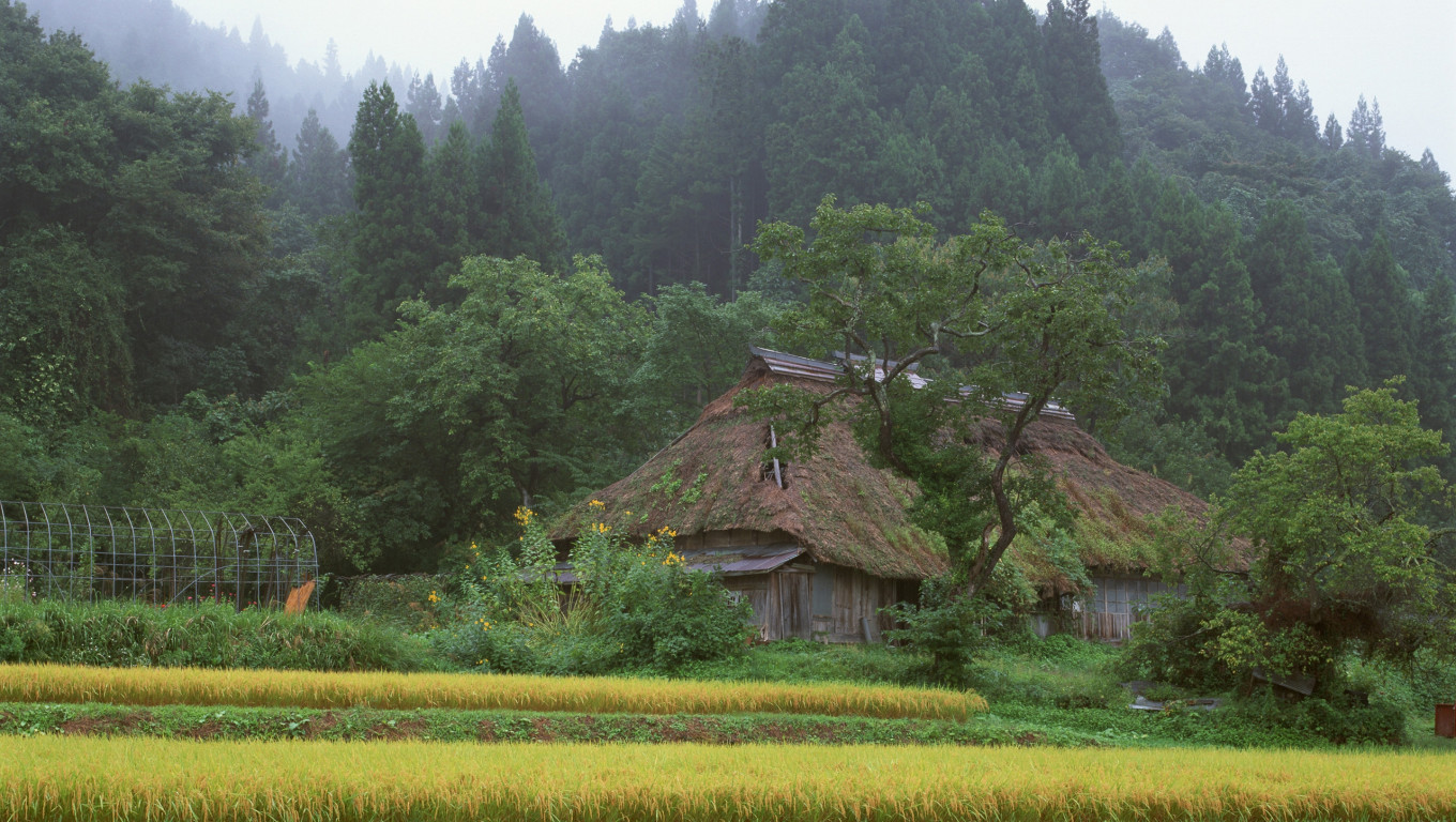 Japonia (8).jpg