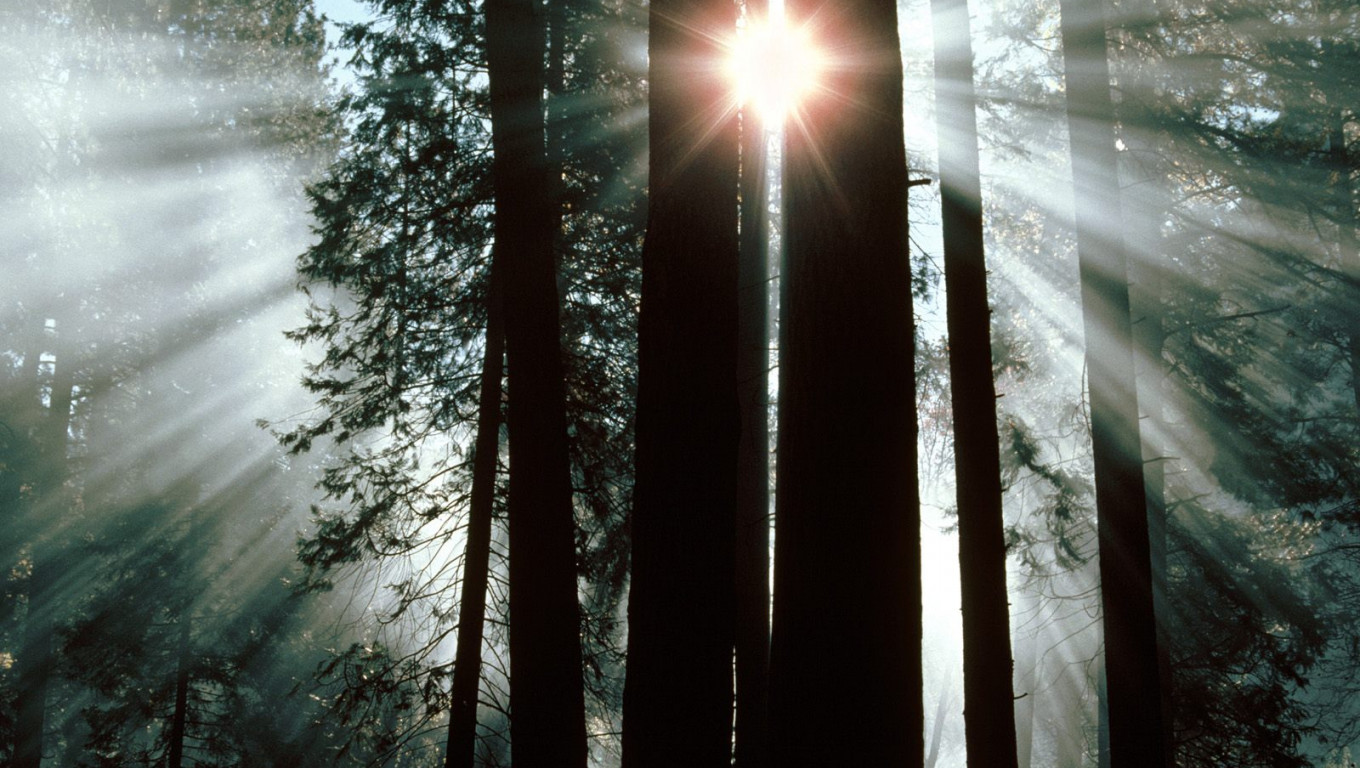 The Rays of Yosemite Valley, Yosemite National Park, California.jpg