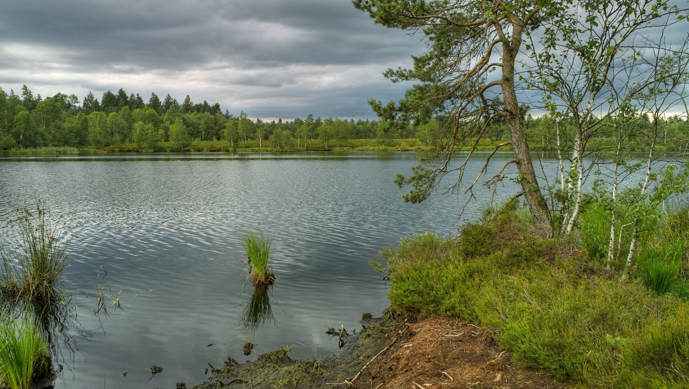 Piękny HD  Widok 9