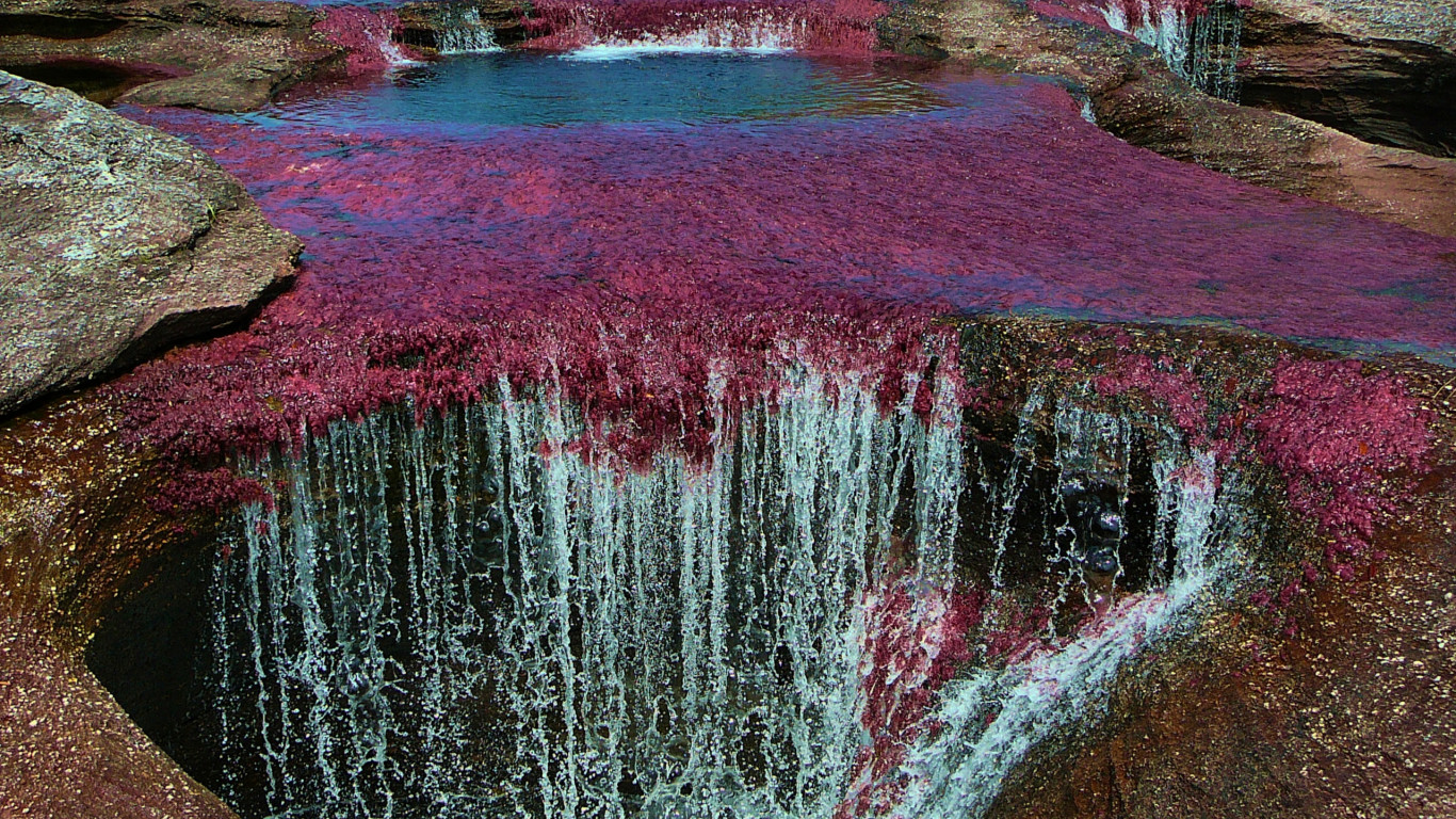 Caño Cristales