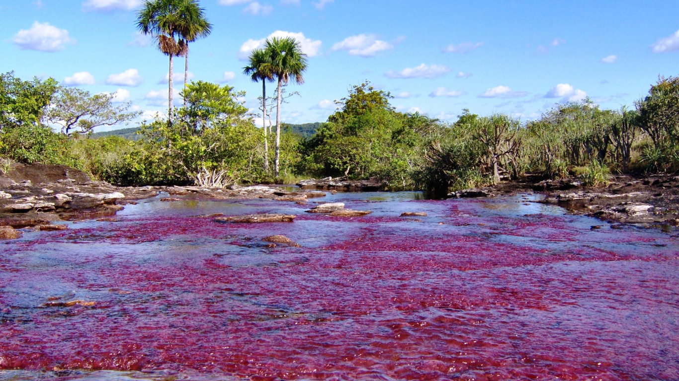 Caño Cristales