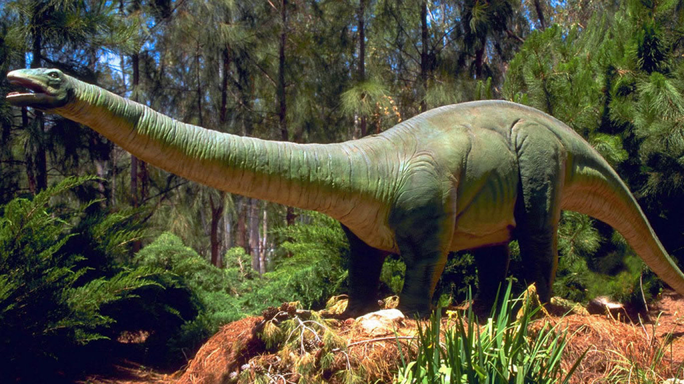 dinozaur (18).jpg