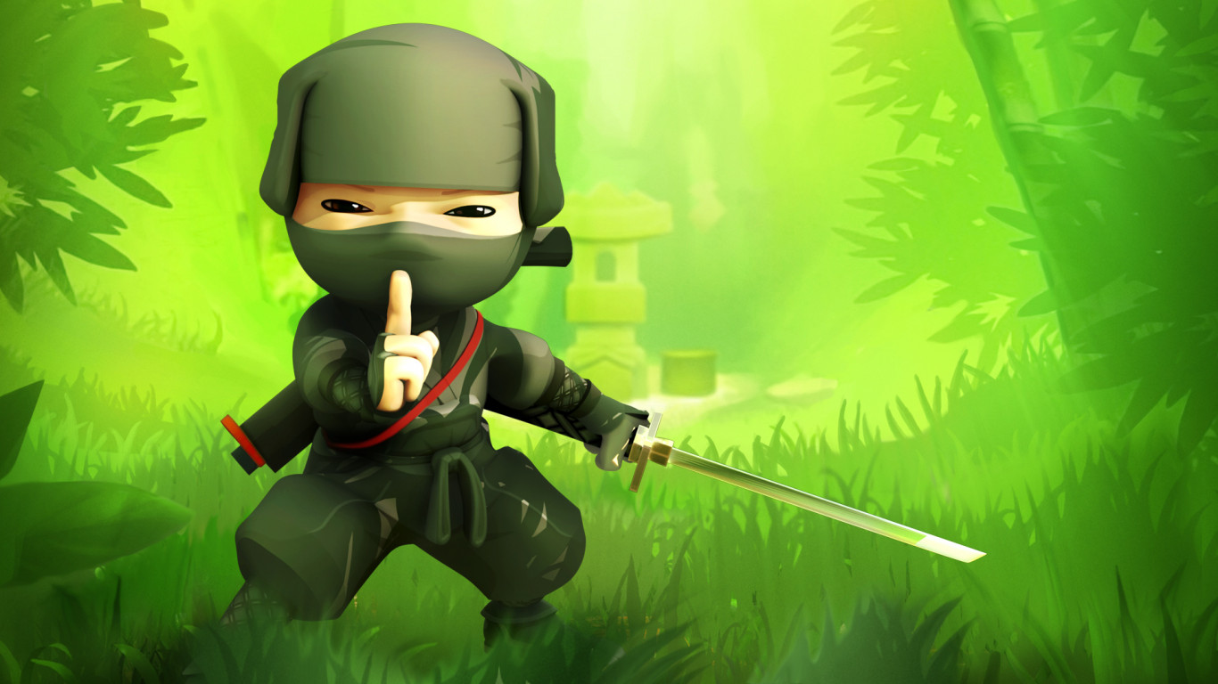 Ninja (8).jpg