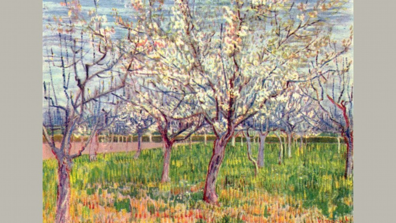 orchard-blossom.jpg
