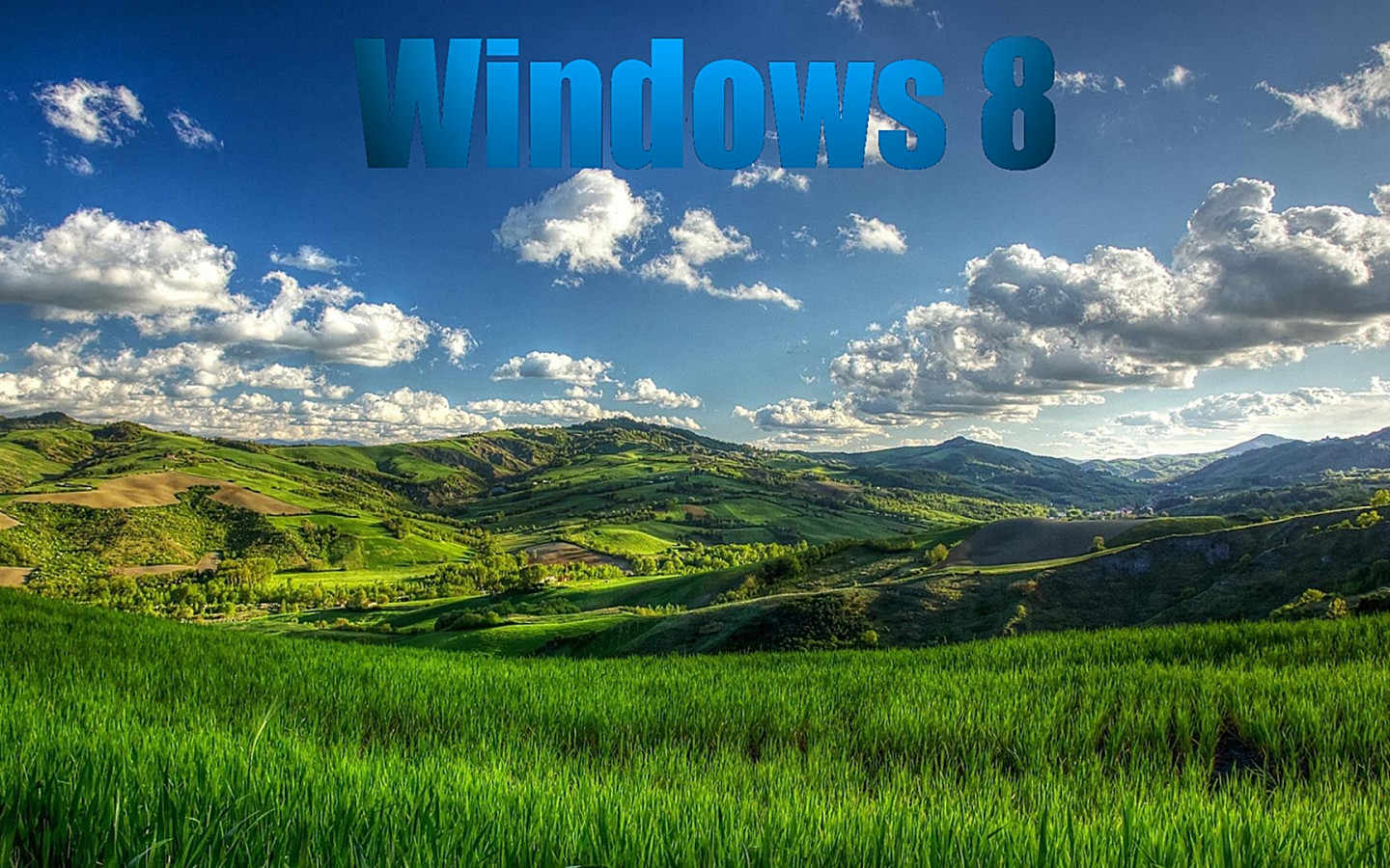 Windows 8