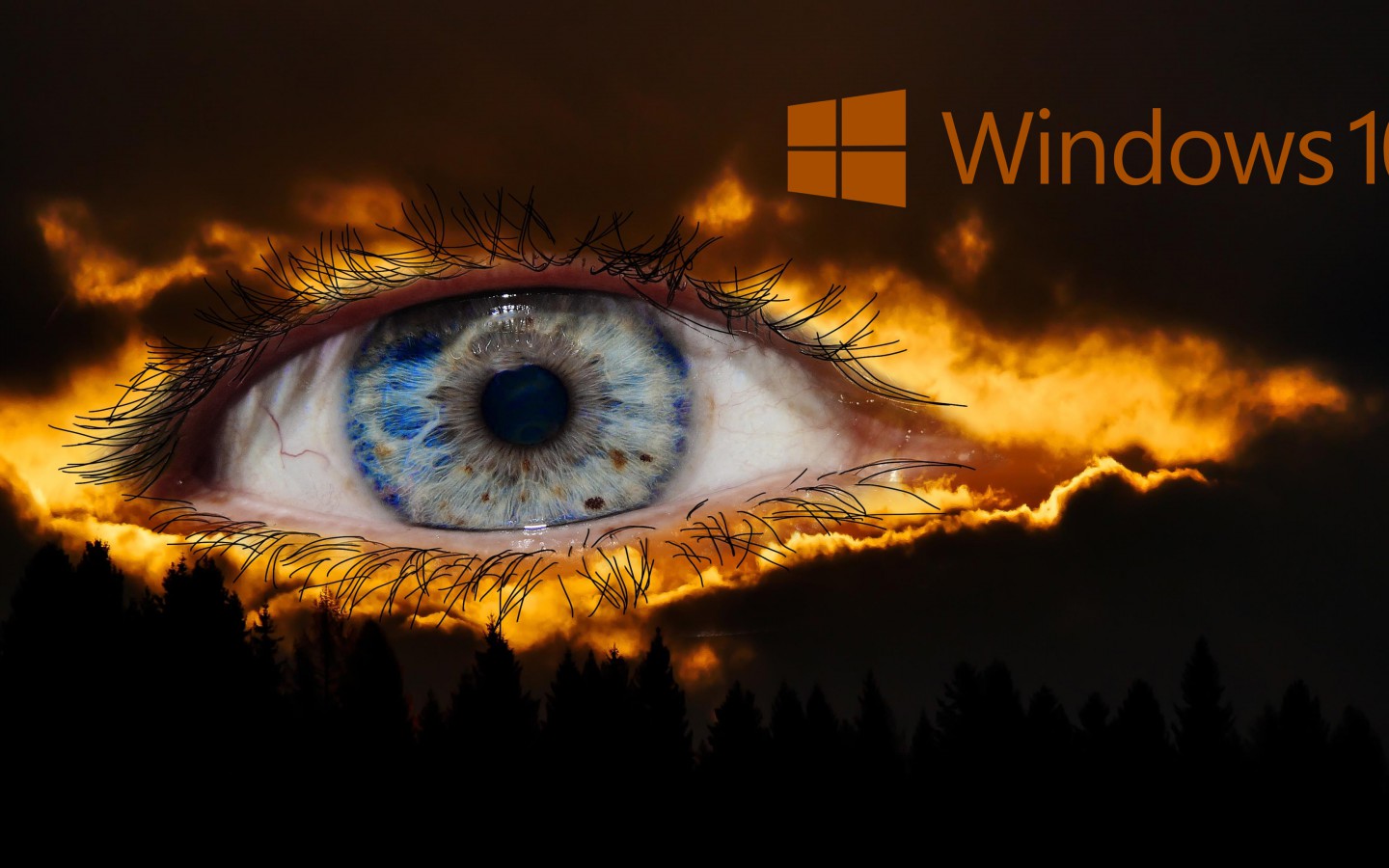 Windows 10