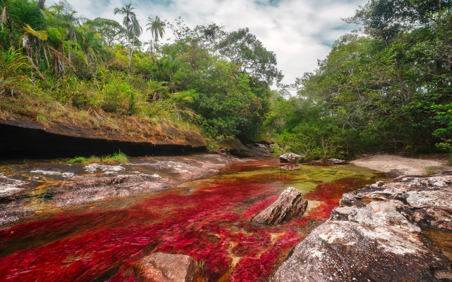 Caño Cristales