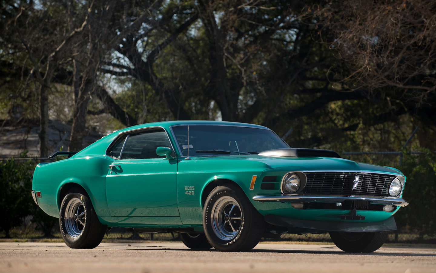 Mustang Boss 429 '1970.jpg